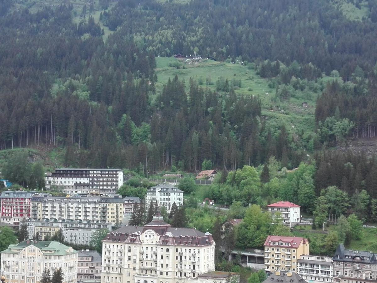 Apartment "Das Schillers Spa" Bad Gastein Eksteriør billede