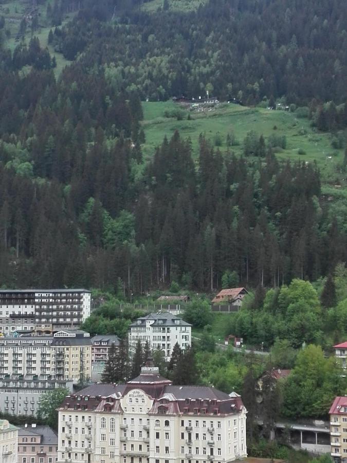 Apartment "Das Schillers Spa" Bad Gastein Eksteriør billede